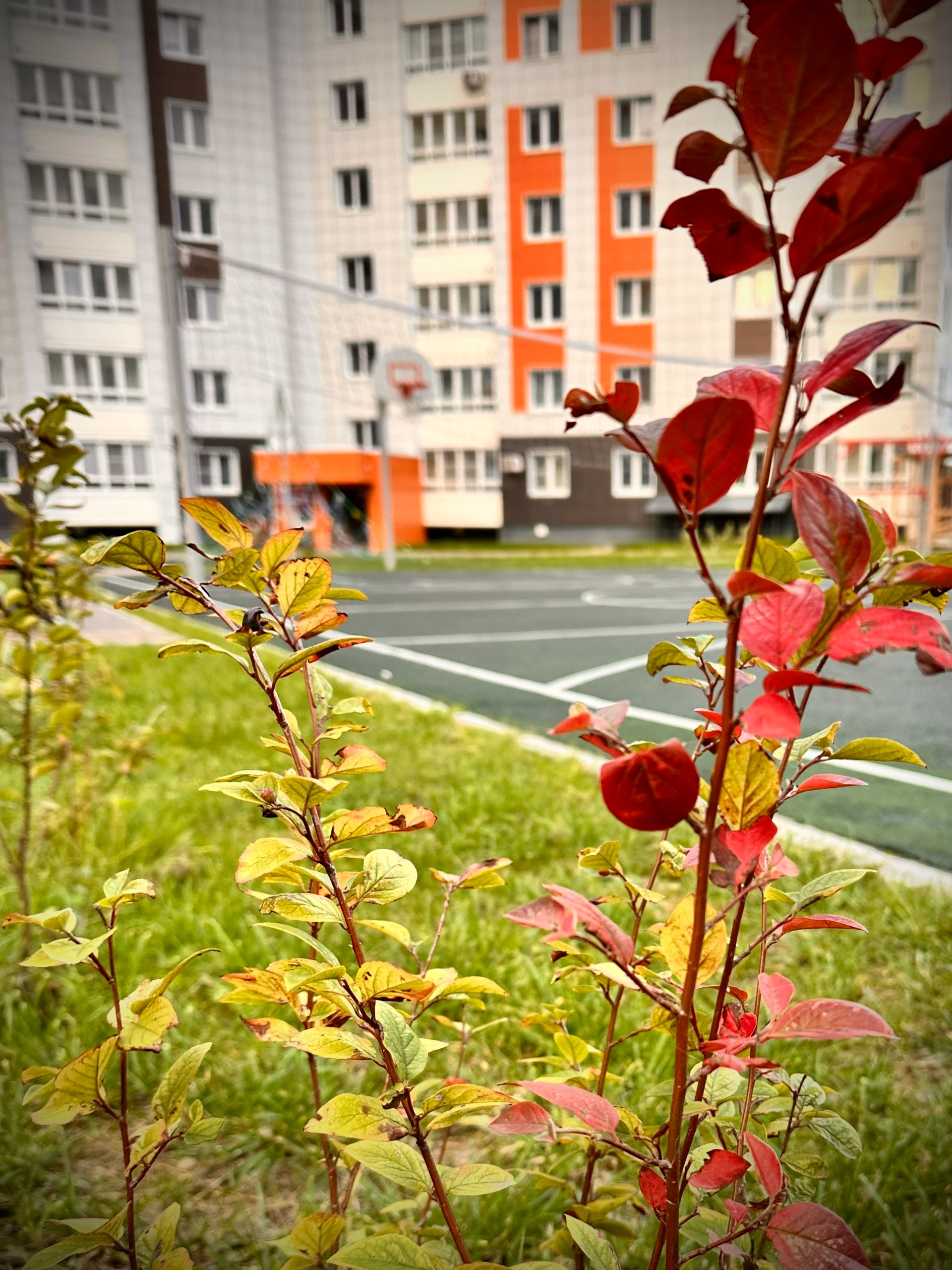 фото3